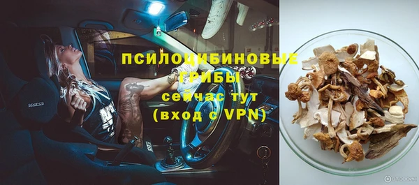 гашик Инсар